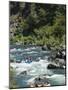 Rafting on the South Fork of the Trinity River-Michael DeFreitas-Mounted Photographic Print