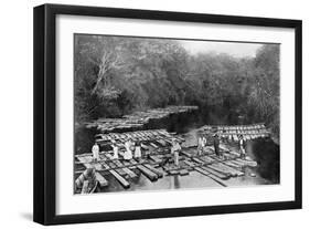 Rafts on the Tebicuary-Mi River, Paraguay, 1911-null-Framed Giclee Print