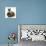 Ragdoll Kitten, 12 Weeks, with Lionhead Rabbit-Mark Taylor-Photographic Print displayed on a wall