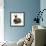 Ragdoll Kitten, 12 Weeks, with Lionhead Rabbit-Mark Taylor-Framed Photographic Print displayed on a wall