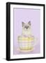 Ragdoll Kitten Sitting in Tea Cup-null-Framed Premium Photographic Print