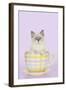 Ragdoll Kitten Sitting in Tea Cup-null-Framed Photographic Print