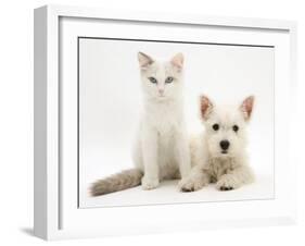 Ragdoll Kitten with West Highland White Terrier Puppy-Jane Burton-Framed Photographic Print