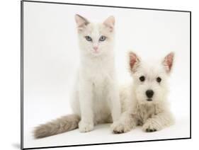 Ragdoll Kitten with West Highland White Terrier Puppy-Jane Burton-Mounted Photographic Print