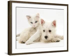 Ragdoll Kitten with West Highland White Terrier Puppy-Jane Burton-Framed Photographic Print