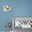 Ragdoll Kitten-Savanah Stewart-Photographic Print displayed on a wall