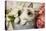 Ragdoll Seal Kitten-null-Stretched Canvas