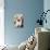 Ragdoll Seal Kitten-null-Photographic Print displayed on a wall