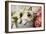 Ragdoll Seal Kitten-null-Framed Photographic Print