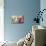 Ragdoll Seal Kitten-null-Mounted Photographic Print displayed on a wall