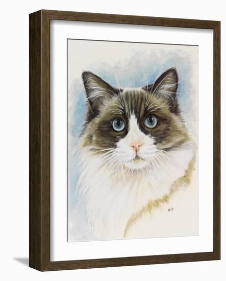 Ragdoll-Barbara Keith-Framed Giclee Print