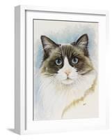 Ragdoll-Barbara Keith-Framed Giclee Print