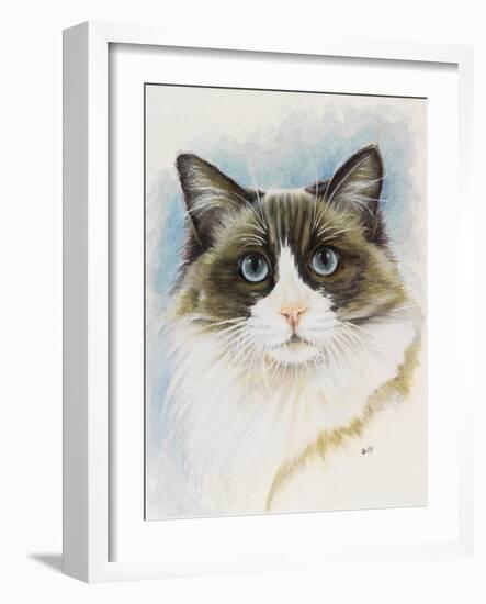 Ragdoll-Barbara Keith-Framed Giclee Print