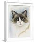 Ragdoll-Barbara Keith-Framed Giclee Print