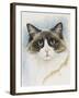 Ragdoll-Barbara Keith-Framed Giclee Print