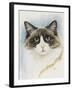 Ragdoll-Barbara Keith-Framed Giclee Print