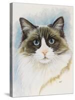 Ragdoll-Barbara Keith-Stretched Canvas