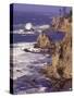 Ragged Coastline near Coos Bay, Oregon, USA-Adam Jones-Stretched Canvas