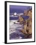 Ragged Coastline near Coos Bay, Oregon, USA-Adam Jones-Framed Photographic Print