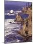 Ragged Coastline near Coos Bay, Oregon, USA-Adam Jones-Mounted Photographic Print