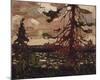 Ragged Pine-Tom Thomson-Mounted Giclee Print