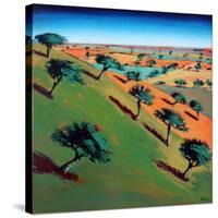 Ragged Stone Hill-Paul Powis-Stretched Canvas