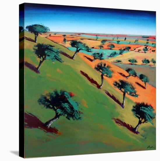 Ragged Stone Hill-Paul Powis-Stretched Canvas