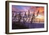 Ragged Sunrise III-Alan Hausenflock-Framed Photographic Print