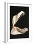 Ragged-Tooth Shark Jaw-null-Framed Photographic Print