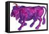 Raging Bull Taurus, 1996-Jane Tattersfield-Framed Stretched Canvas
