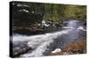 Raging River in a Forest-null-Stretched Canvas