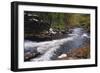 Raging River in a Forest-null-Framed Photographic Print
