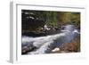 Raging River in a Forest-null-Framed Photographic Print