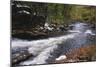 Raging River in a Forest-null-Mounted Photographic Print