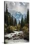 Raging River-Andrew Geiger-Stretched Canvas