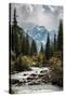 Raging River-Andrew Geiger-Stretched Canvas