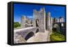 Raglan Castle, Monmouthshire, Wales, United Kingdom, Europe-Billy Stock-Framed Stretched Canvas
