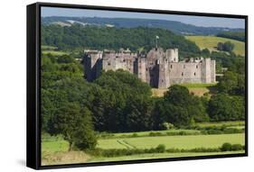 Raglan Castle, Monmouthshire, Wales, United Kingdom, Europe-Billy Stock-Framed Stretched Canvas