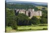 Raglan Castle, Monmouthshire, Wales, United Kingdom, Europe-Billy Stock-Stretched Canvas