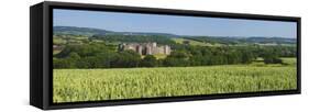 Raglan Castle, Monmouthshire, Wales, United Kingdom, Europe-Billy Stock-Framed Stretched Canvas