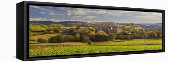 Raglan Castle, Monmouthshire, Wales, United Kingdom, Europe-Billy Stock-Framed Stretched Canvas