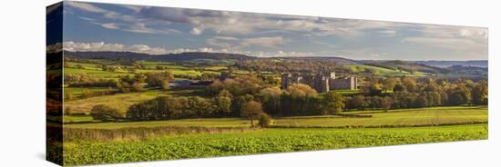 Raglan Castle, Monmouthshire, Wales, United Kingdom, Europe-Billy Stock-Stretched Canvas