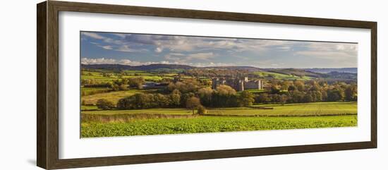 Raglan Castle, Monmouthshire, Wales, United Kingdom, Europe-Billy Stock-Framed Photographic Print