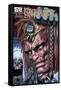 Ragnarok Issue No. 5 - Standard Cover-Walter Simonson-Framed Stretched Canvas