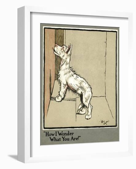 Rags the Puppy in the Dairy-Cecil Aldin-Framed Art Print