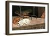 Rags the Puppy Joins Cat and Piglet by the Fire-Cecil Aldin-Framed Art Print