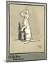 Rags the Puppy Sitting Up on His Hind Legs-Cecil Aldin-Mounted Art Print