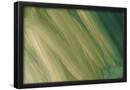 Essential Black