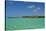 Raiatea-Styve-Stretched Canvas