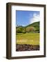 Raiatea-Styve-Framed Photographic Print